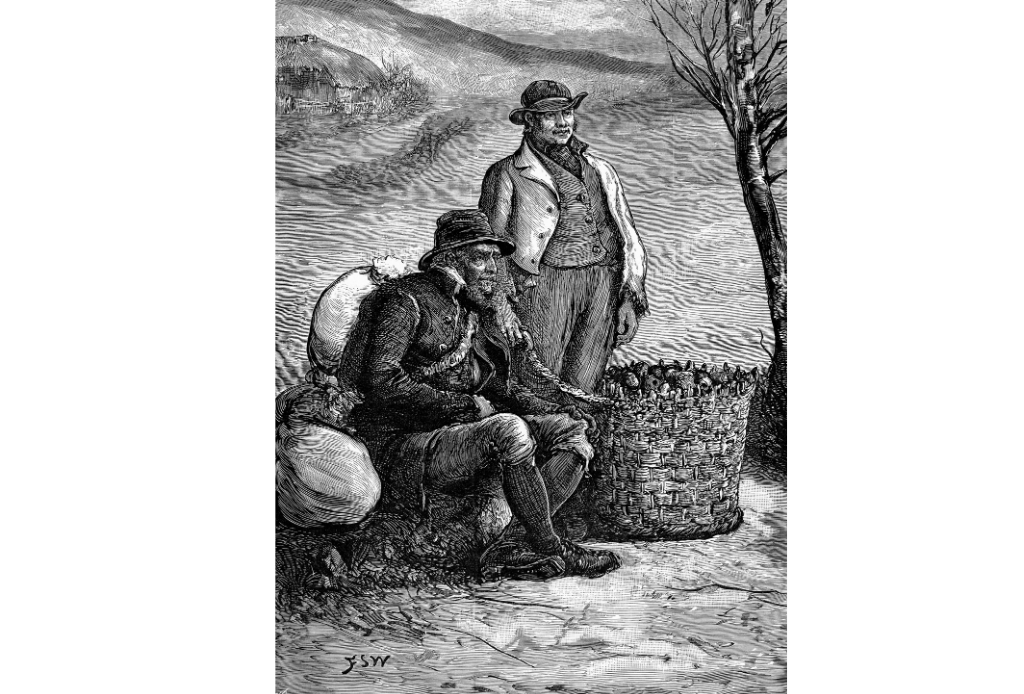 Two Irish farmers