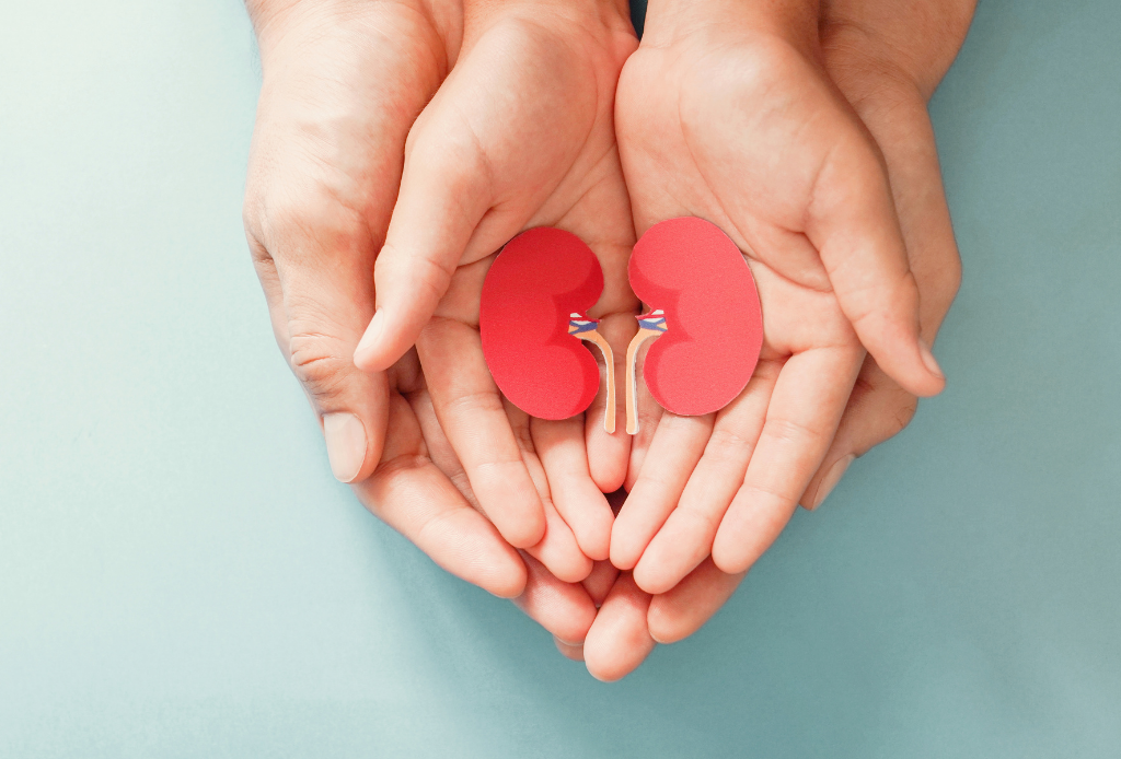 Adult and child holding kidney shaped paper