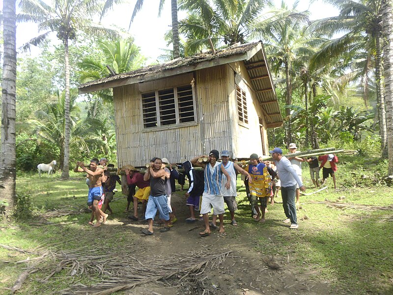 Bayanihan_2